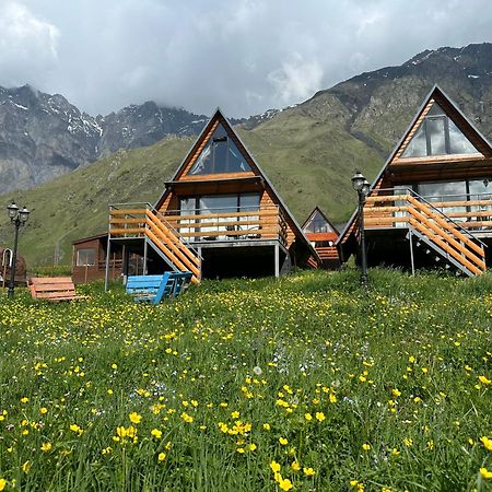 T&T cottage Kazbegi Exteriör bild